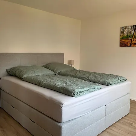 K5 Apartment Wehr (Baden-Wurttemberg)